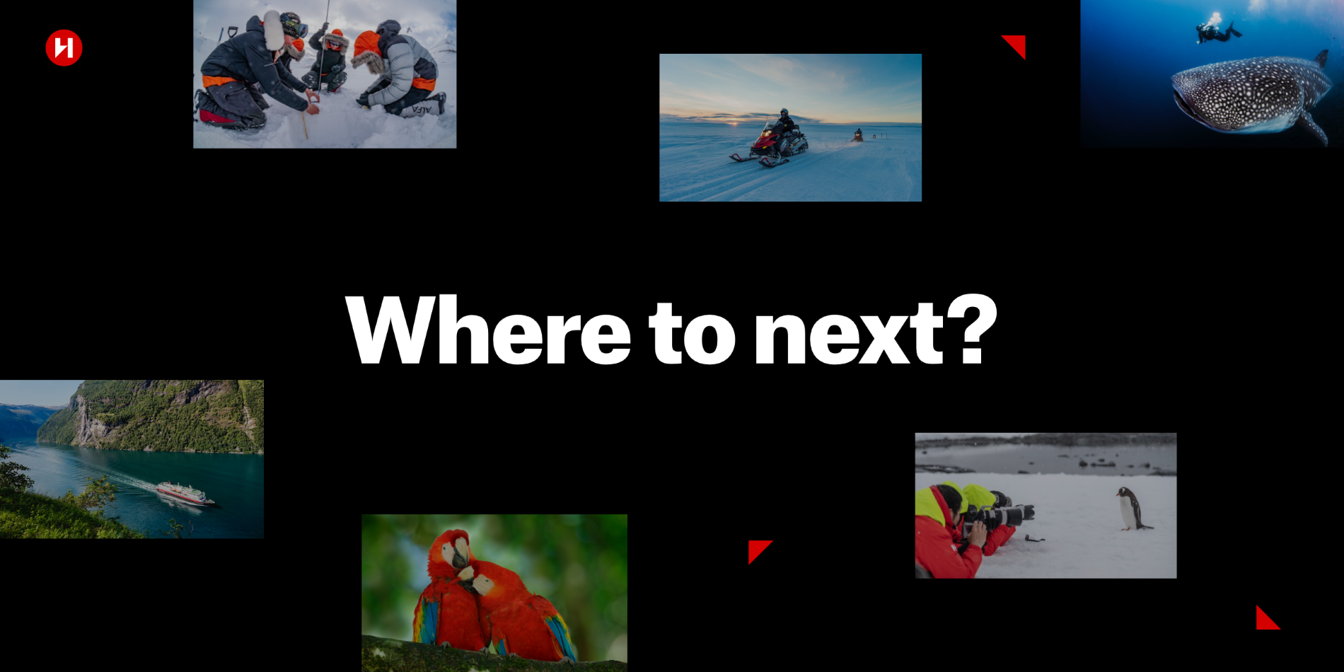 Image de bannière qui dit « Where to next? »