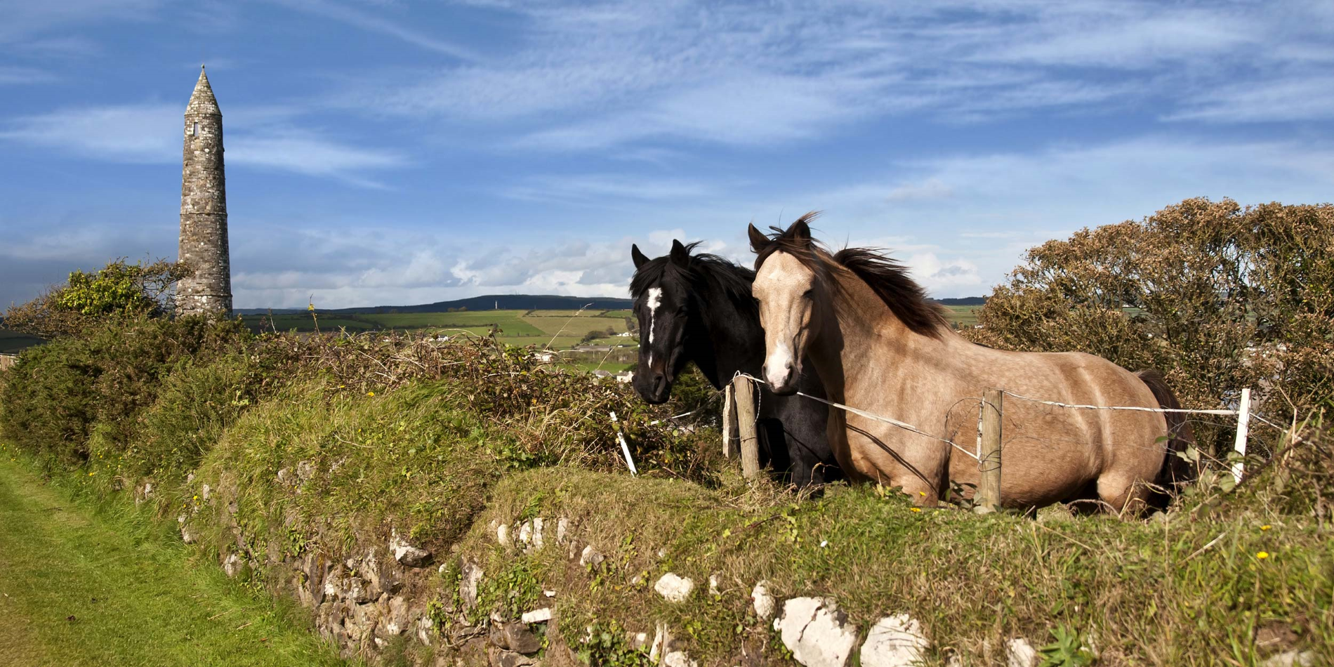 Deux magnifiques chevaux irlandais devant une ancienne tour dans la belle campagne d’Ardmore, dans le comté de Waterford, en Irlande