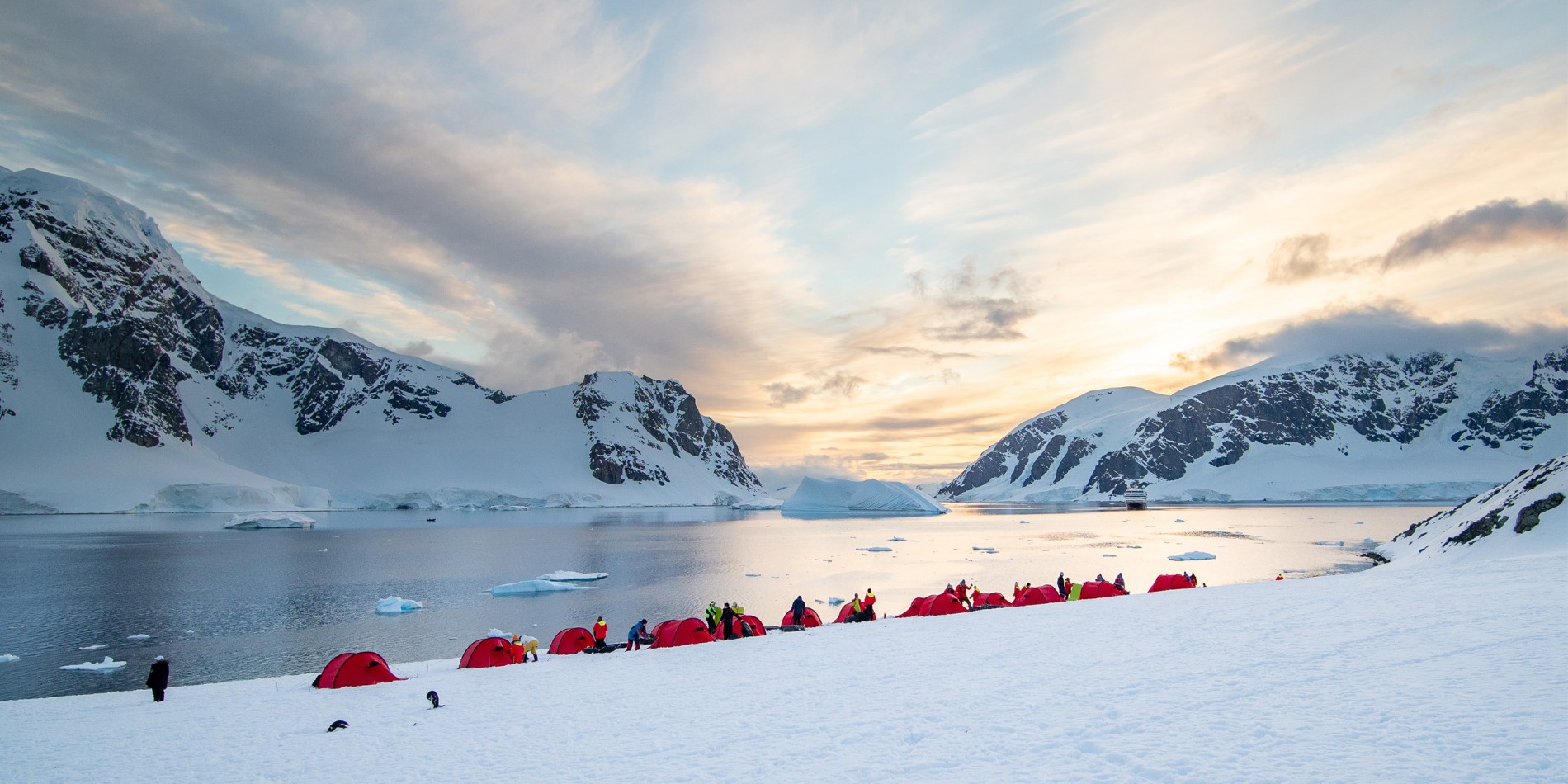 Camping sur l'île de Danco, Antarctique