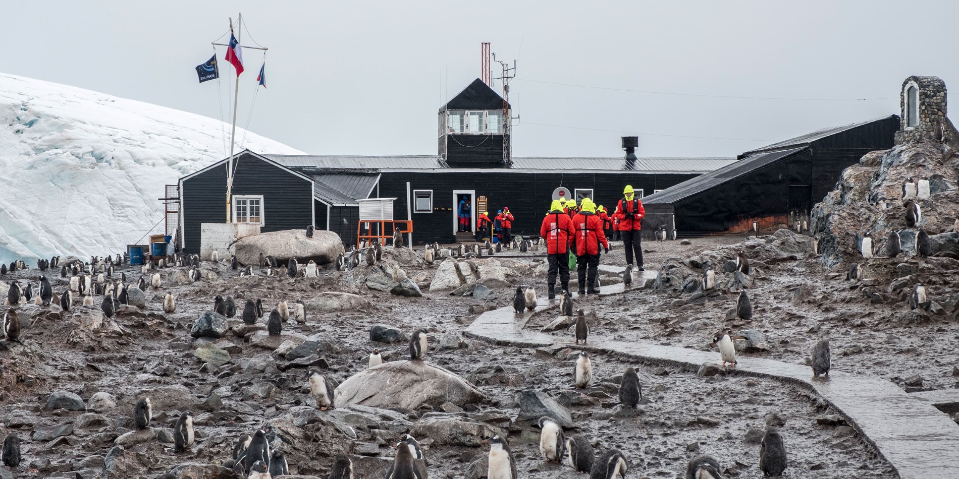 Les clients de Hurtigruten visitent une station de recherche à Paradise Bay Antarctica