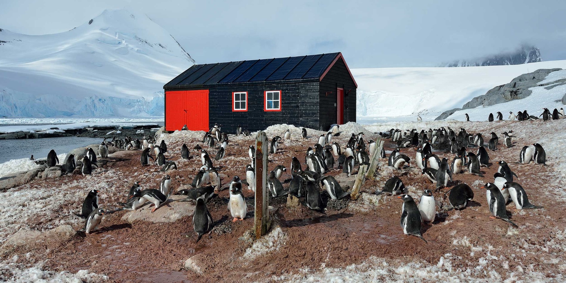 Paysage et pingouins dans L'Antarctique de Port Lockroy