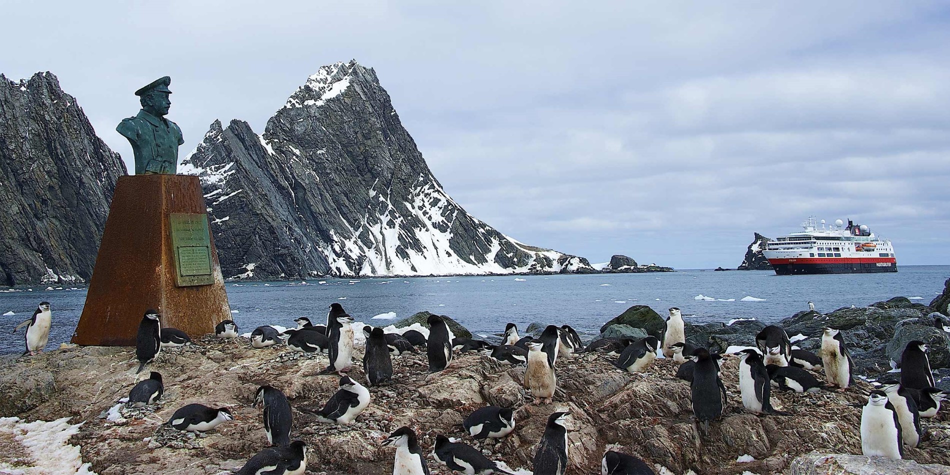 Pingouins de Chinstrap sur l'île d'éléphant, Géorgie du sud
