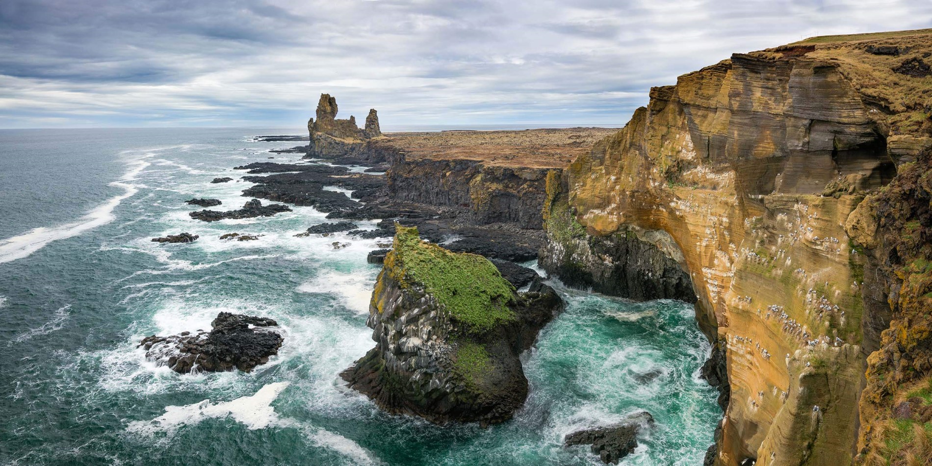 L'Islande, la plus grande falaise d'oiseaux d'Europe