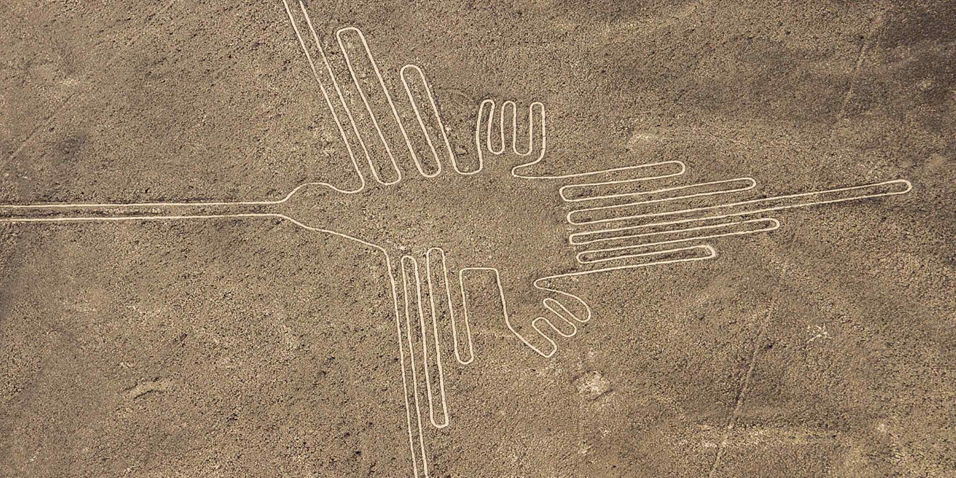 Géoglyphe de colibri, lignes de Nazca, Pérou