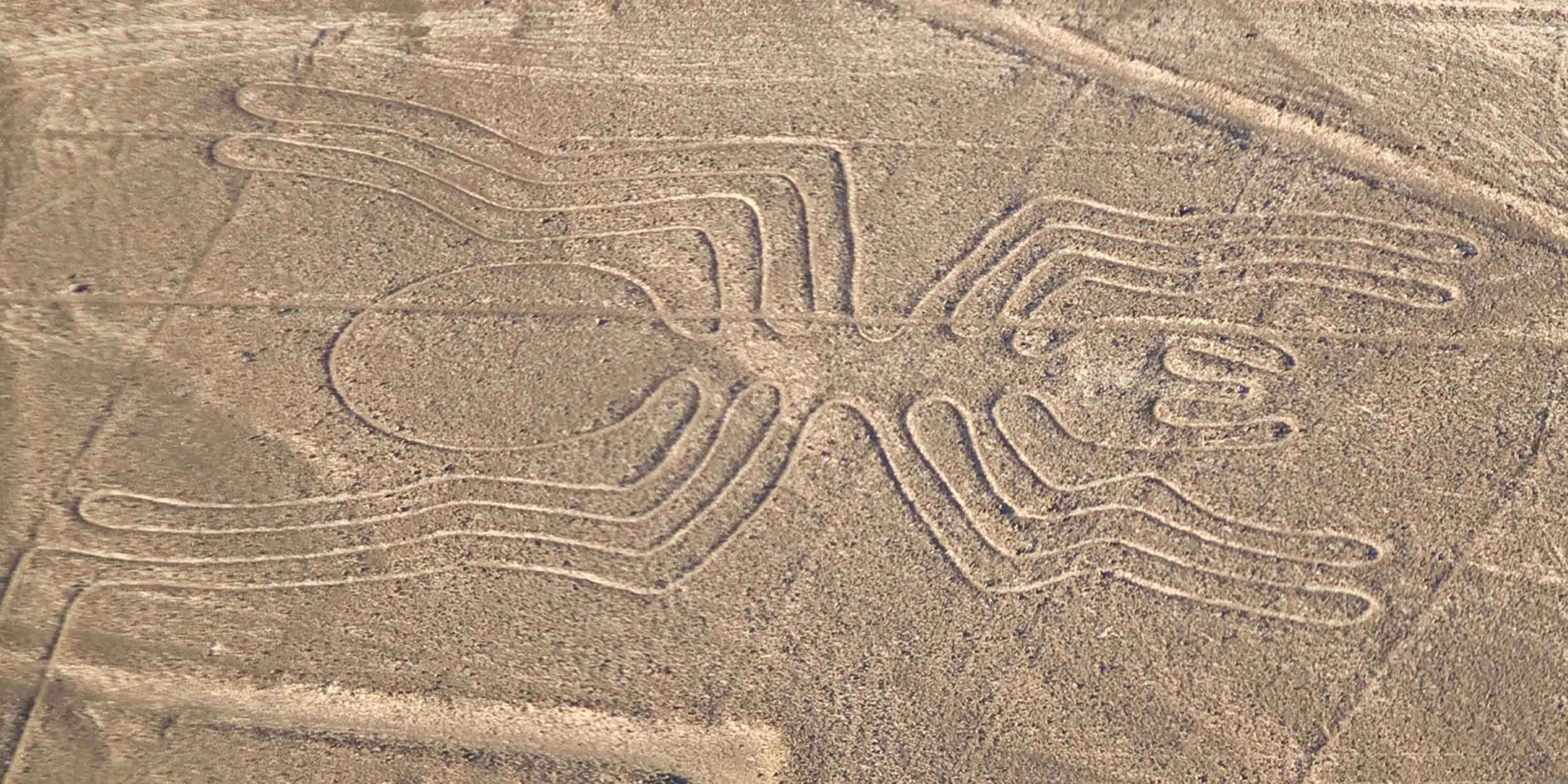 Géoglyphe d'araignée, lignes de Nazca, Pérou
