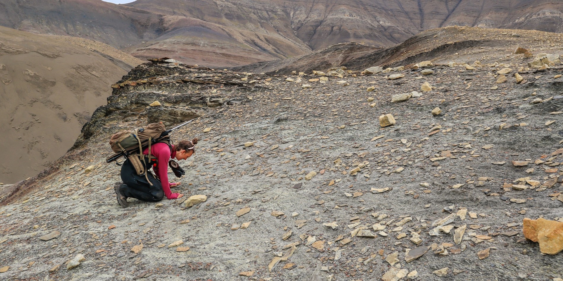 Une femme à la recherche de fossiles lors d’une excursion à Deltaneset, Spitzberg