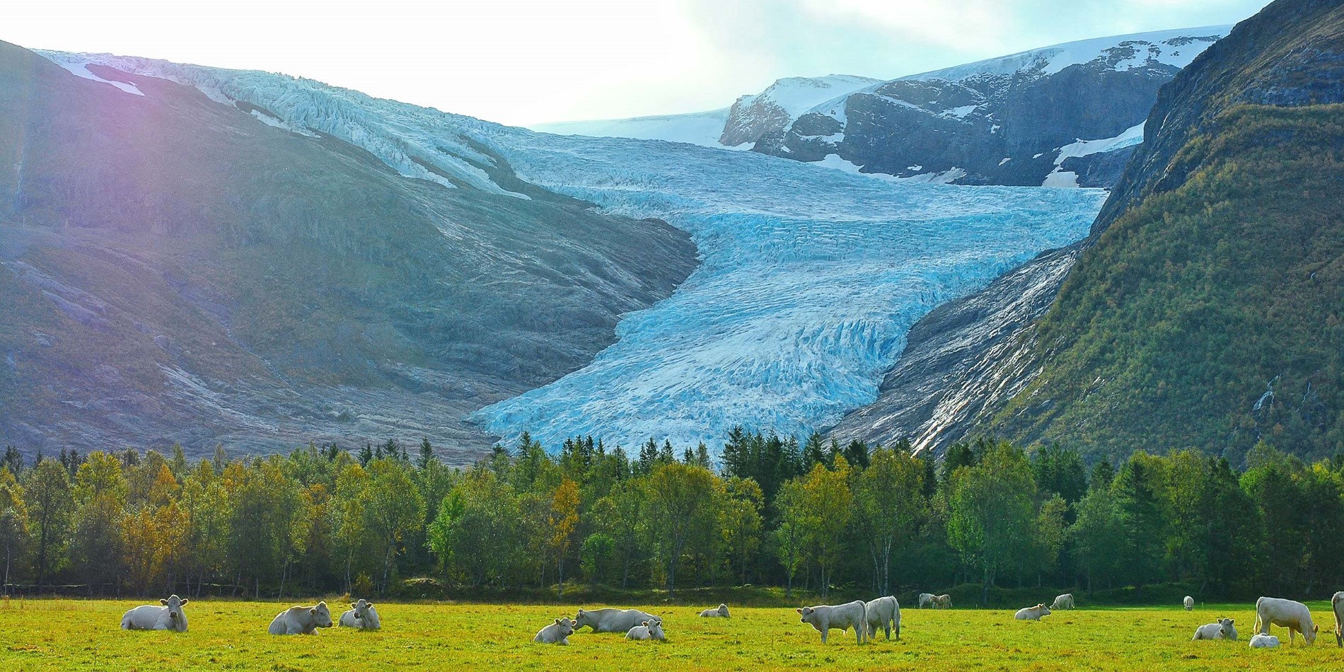 Svartisen - une fois que le glacier s'est écaillé sur ce champ