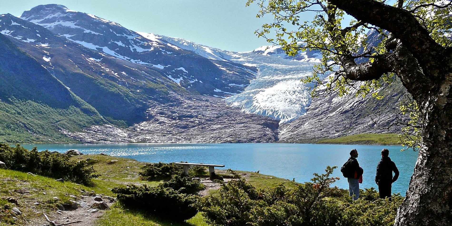 Glacier de Svartisen à travers le lac