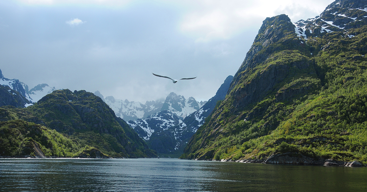 Trollfjorden-Norway-HGR-109853--Photo_Photo_Competition_edited_1200.jpg