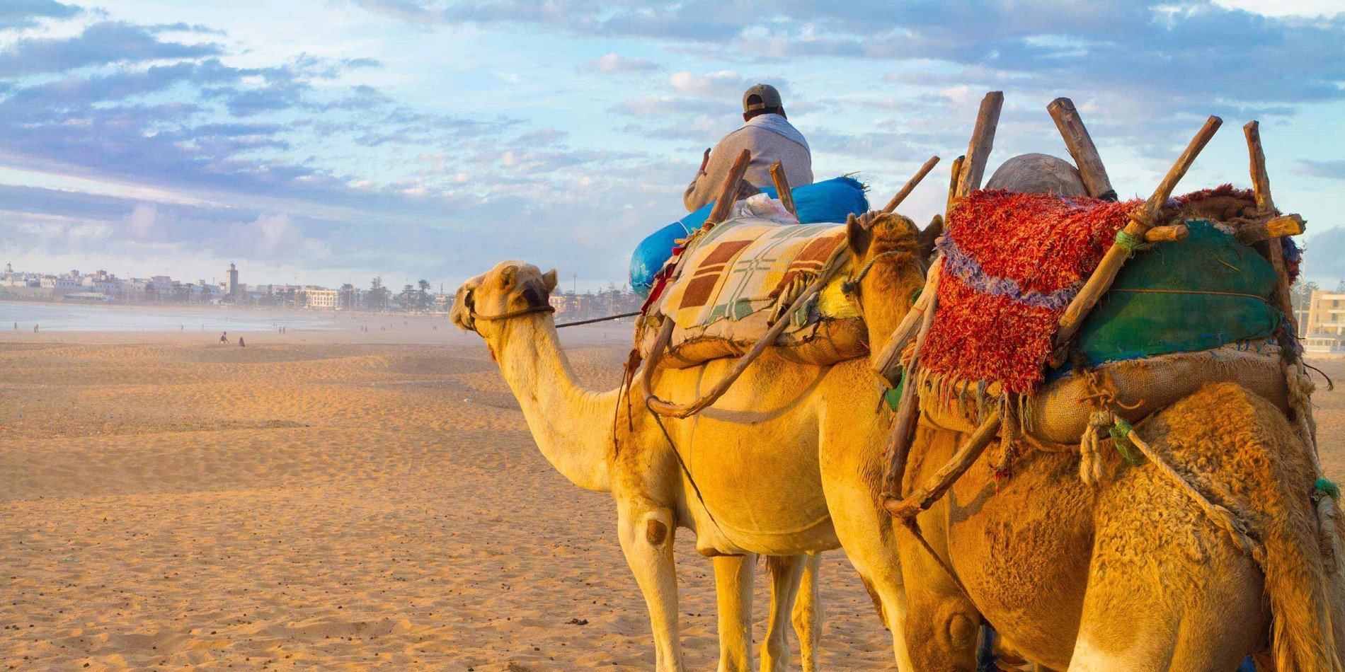 Caravane de chameau à la plage au Maroc
