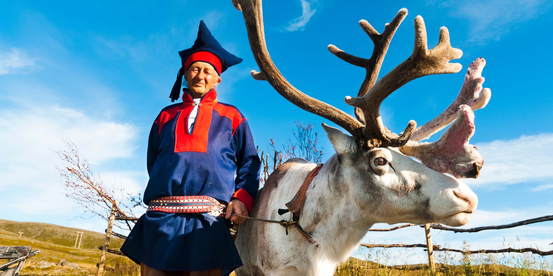 Les rennes sont essentiels à la culture et à la vie sami